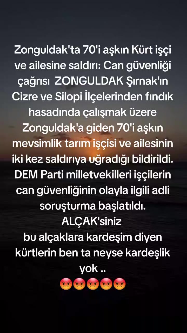 @imdat doğan