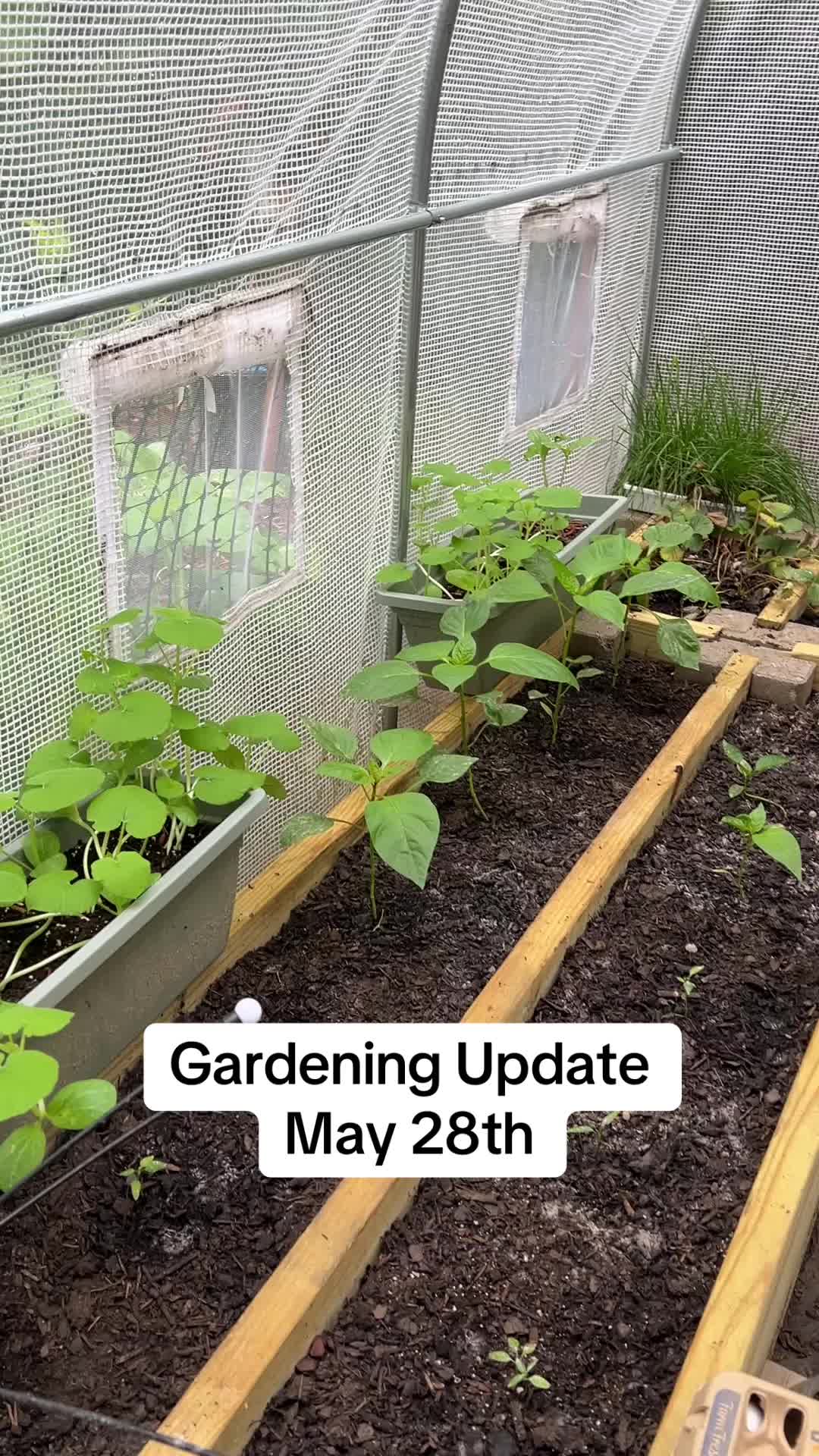 @dreamplantsquirrel