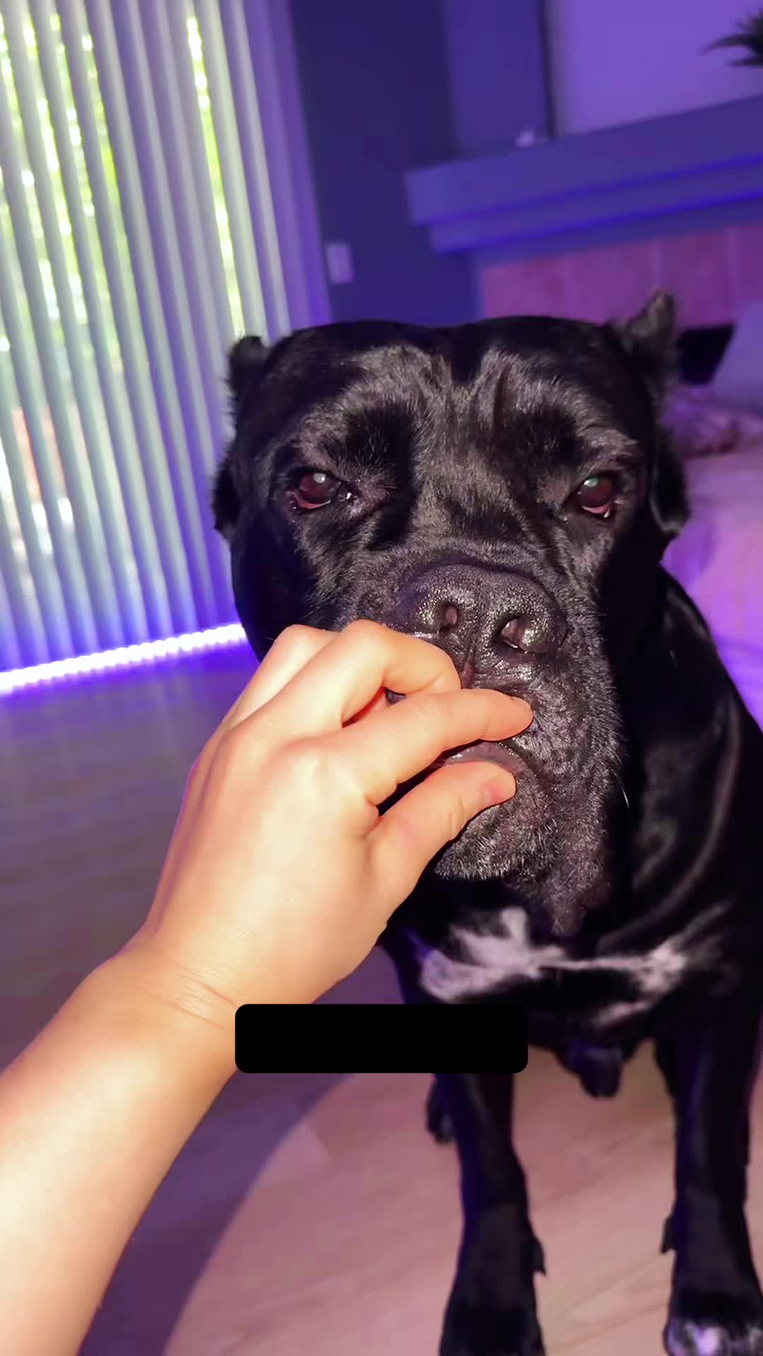 @Bentley Has Issues