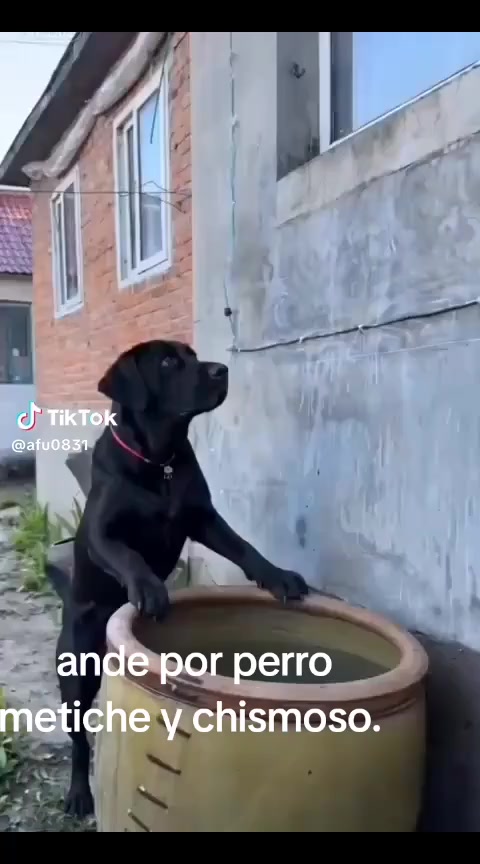 @Héctor Carrillo777
