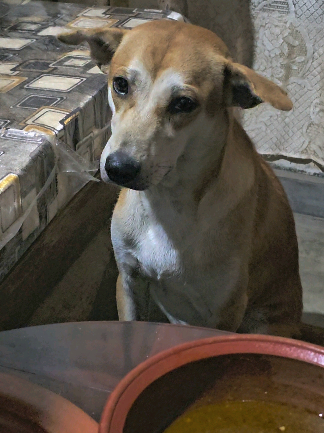 @𝗙𝗔𝗥𝗠 𝗪𝗜𝗡𝗚𝗦