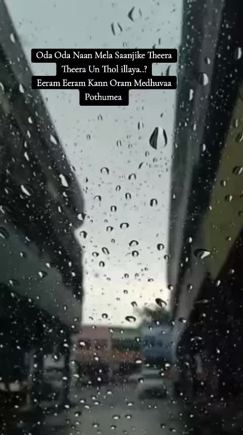 @Phava96 🧩🎲🐼