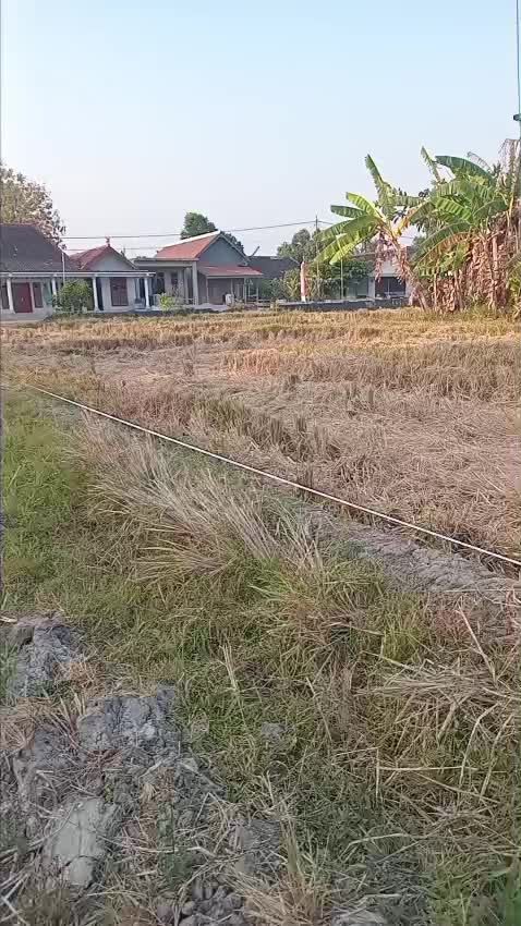 @bojone mamad