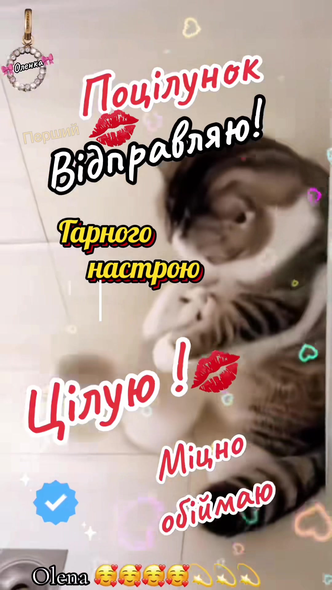 @✨🤍ОрХіДеЯ🤍✨🌟Одна така🌟