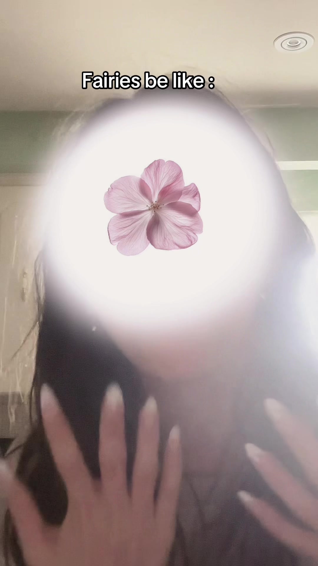 @🩷Hannah The Fairy🩷