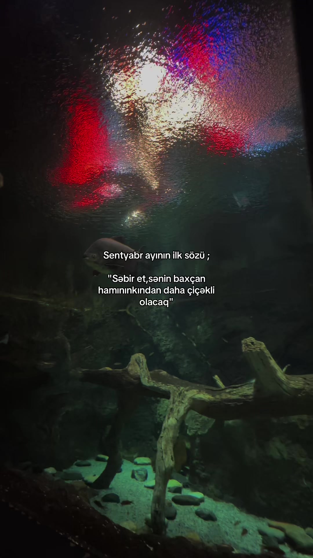 @𝒩