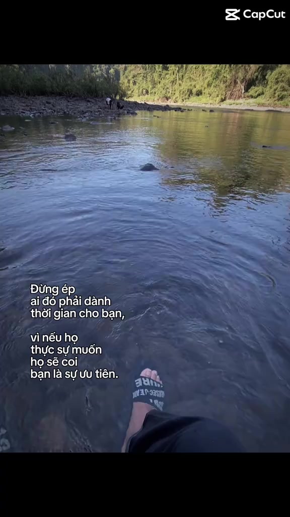 @👤