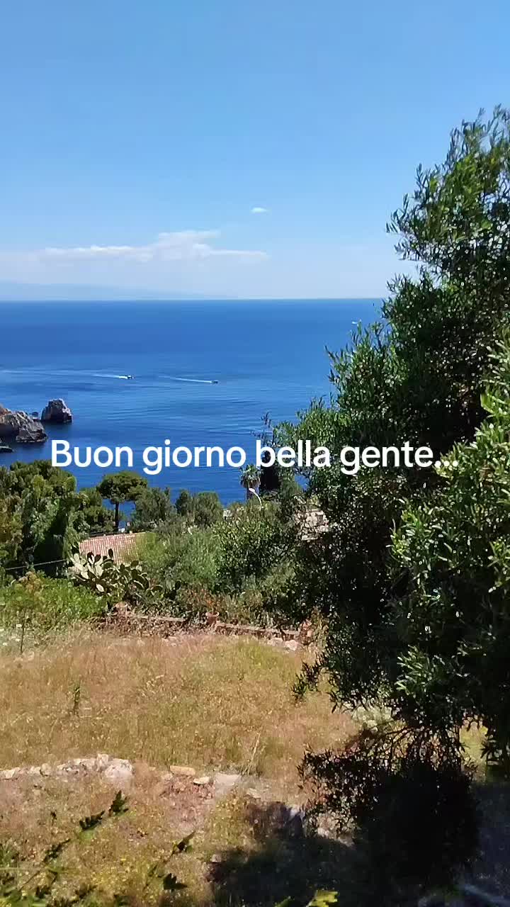 @vincenzoparasiliti2