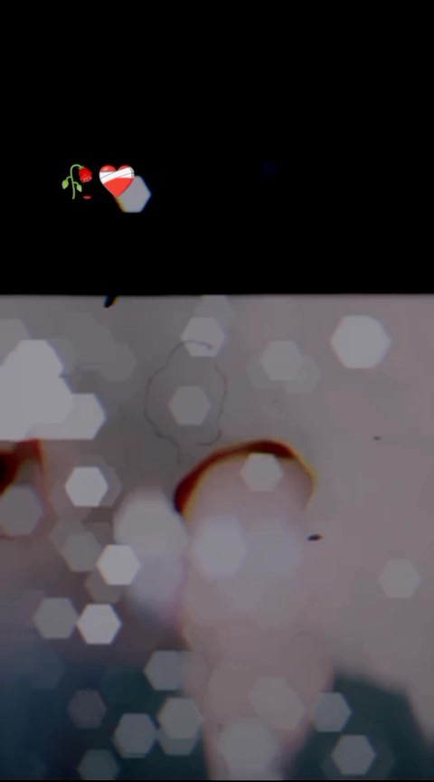@12345678