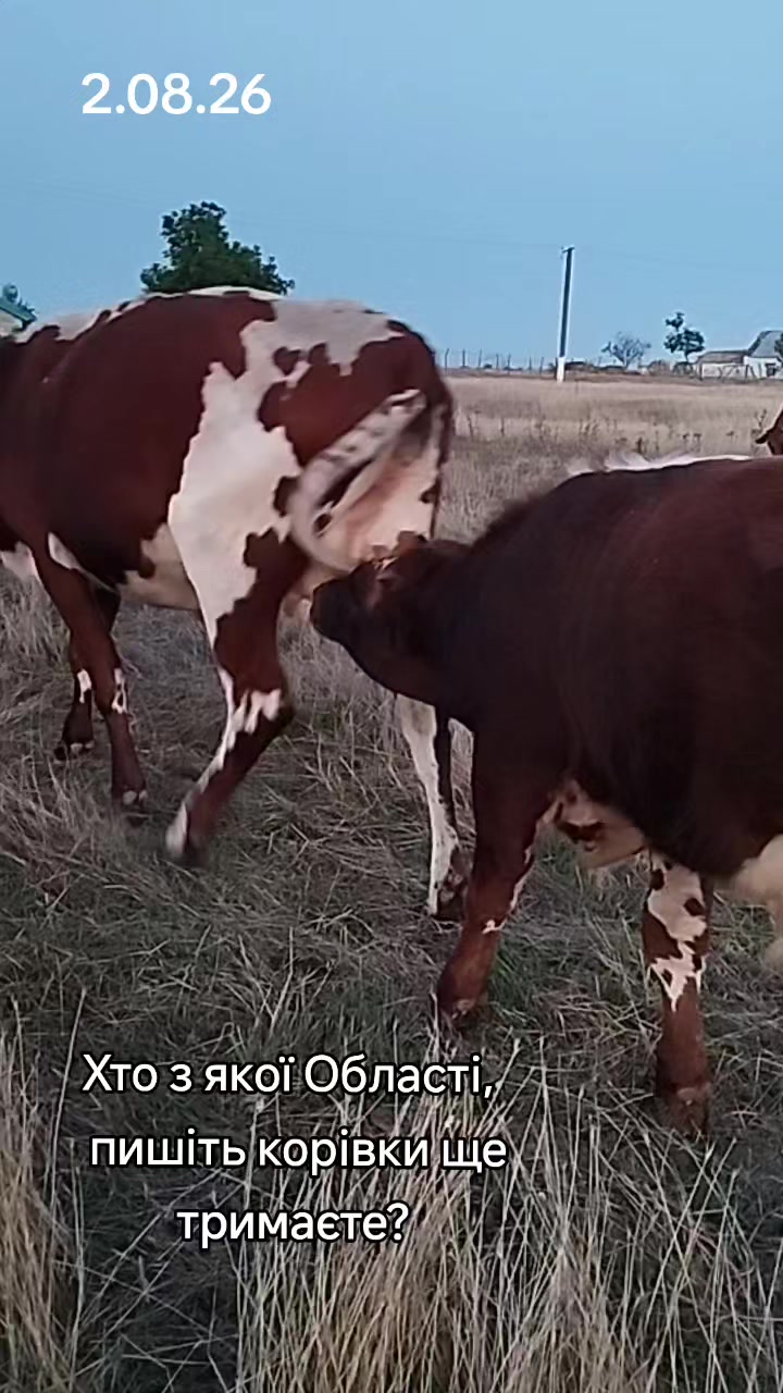 @Марченко Наталья