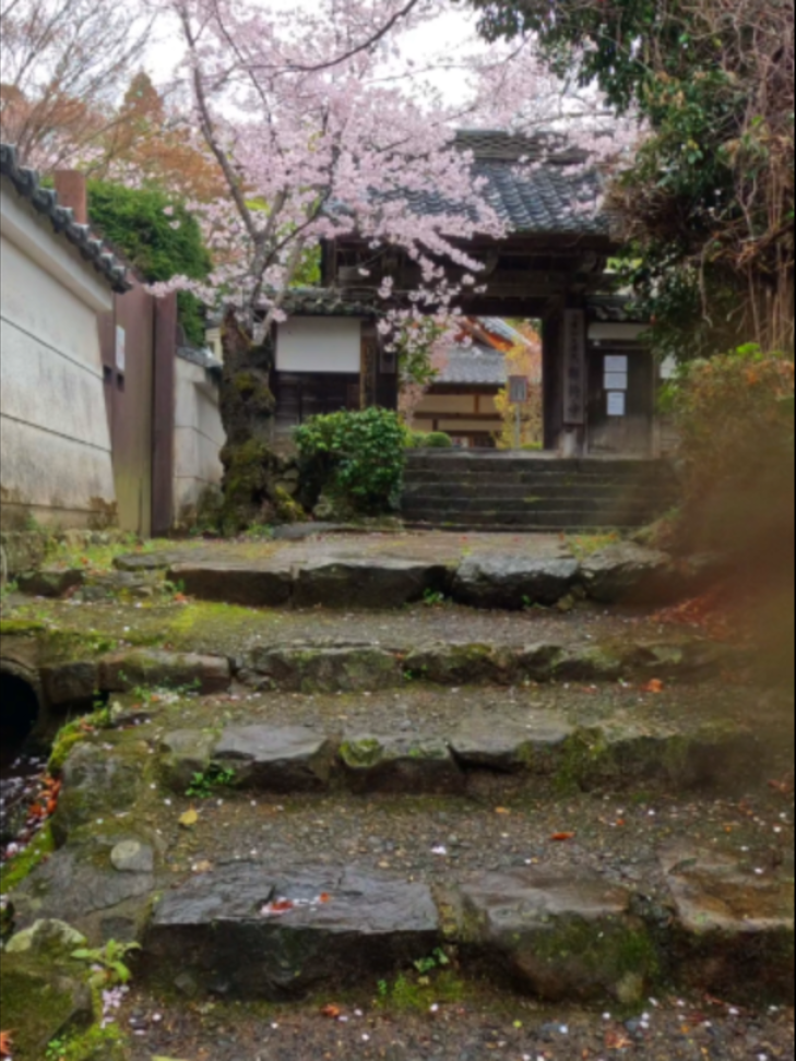 @美しい日本 感動の旅