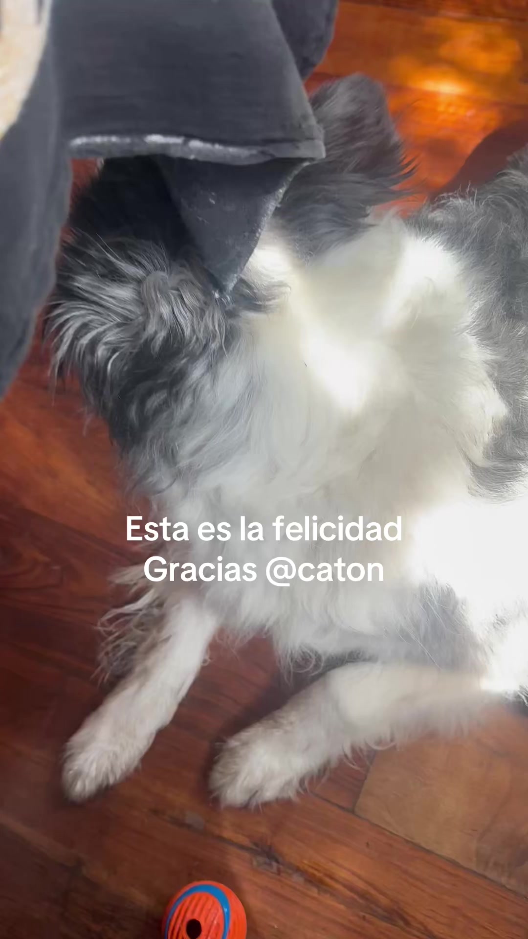 @Lazabaleta69