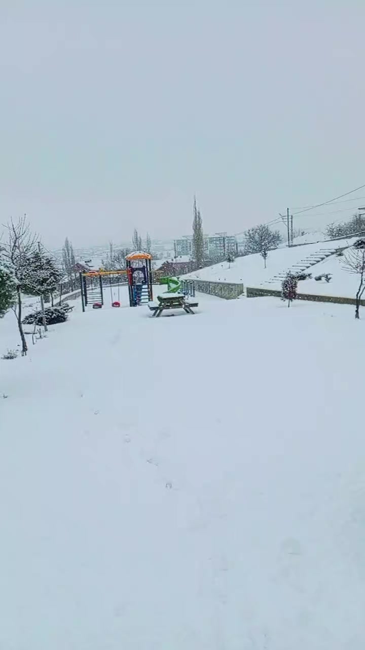 @&ouml;zlem g&uuml;ler