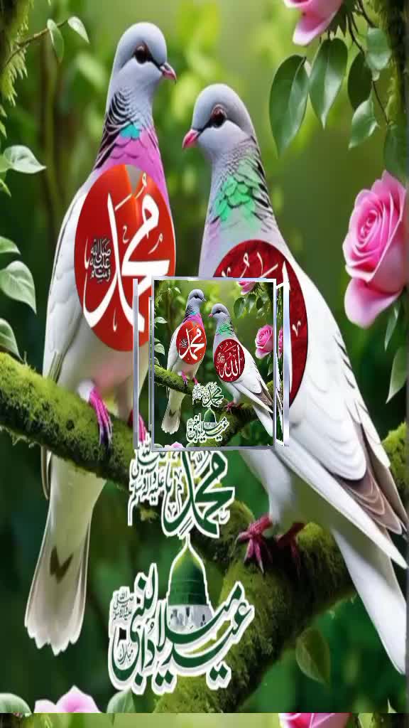 @rihanMalik8r