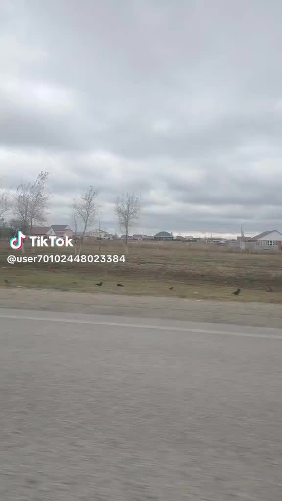 @гулак Юрий