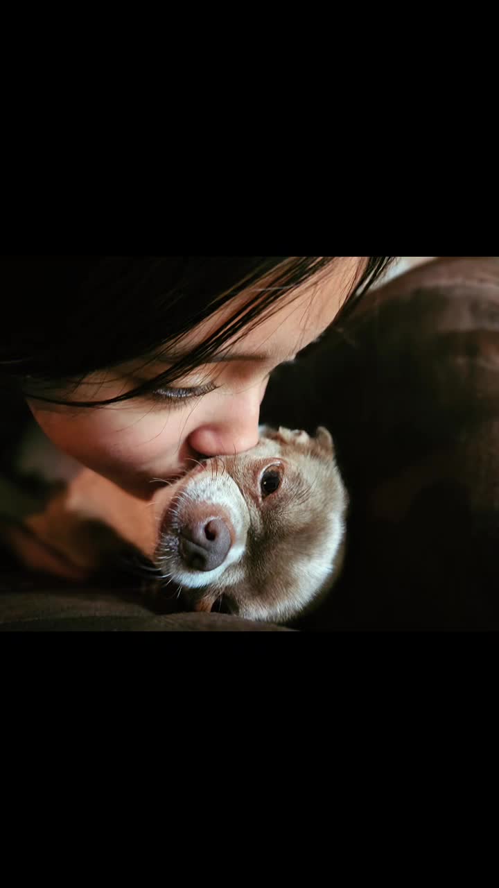 @RufinaChihuahua