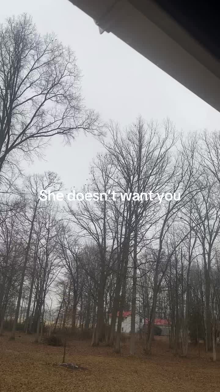 @Flex