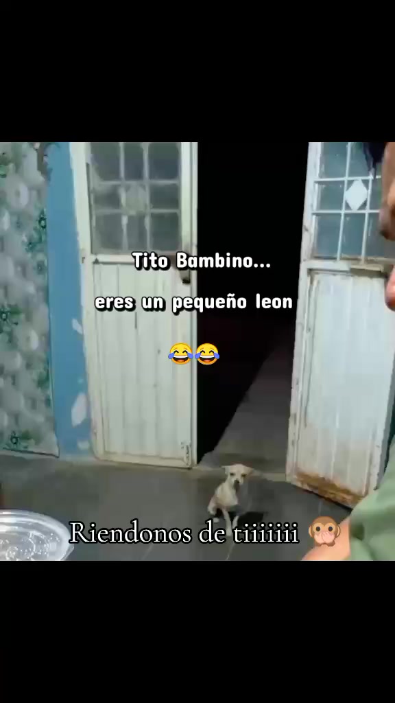 @Flor 🌷