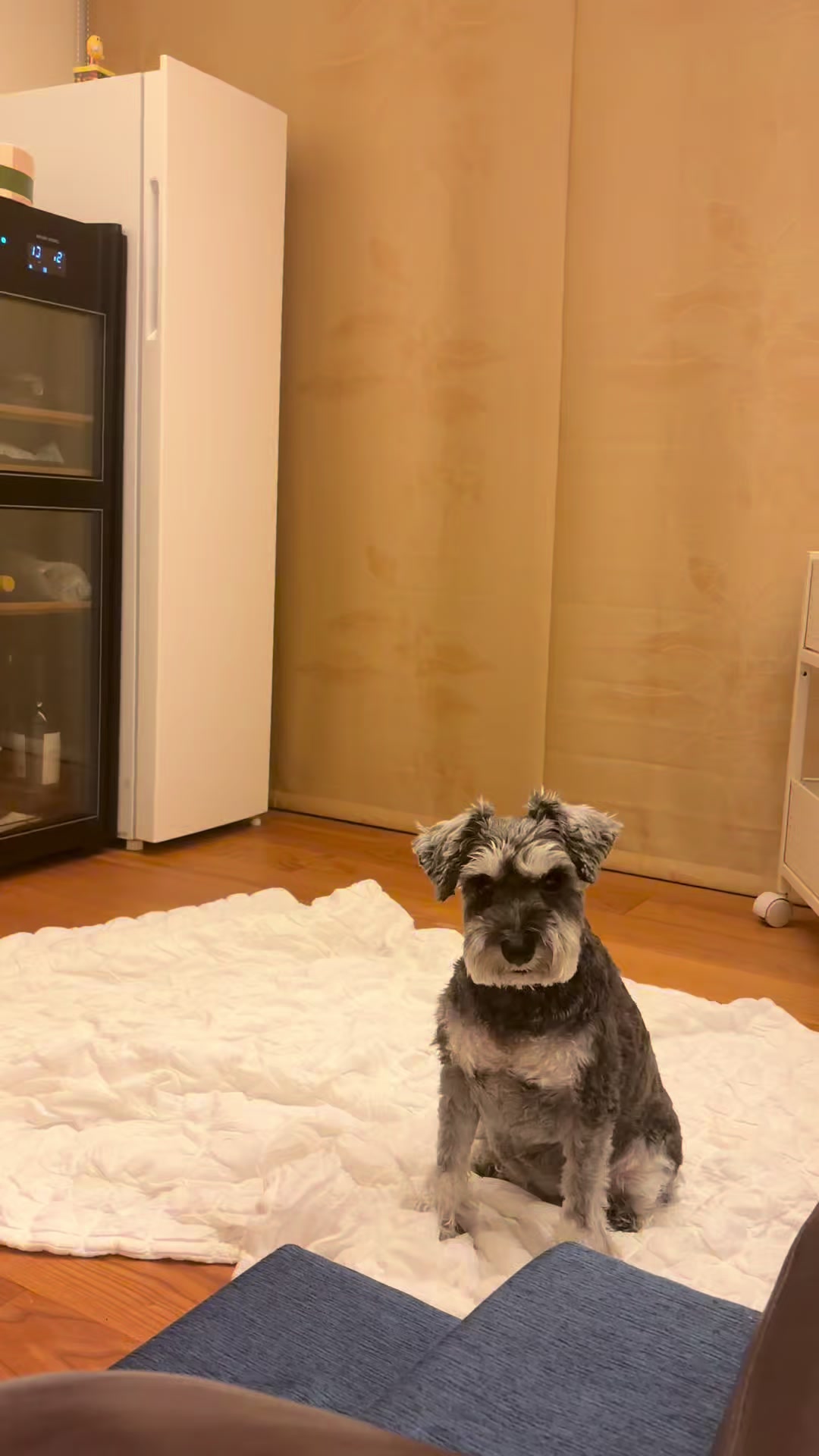 @ポルとムータンの大冒険