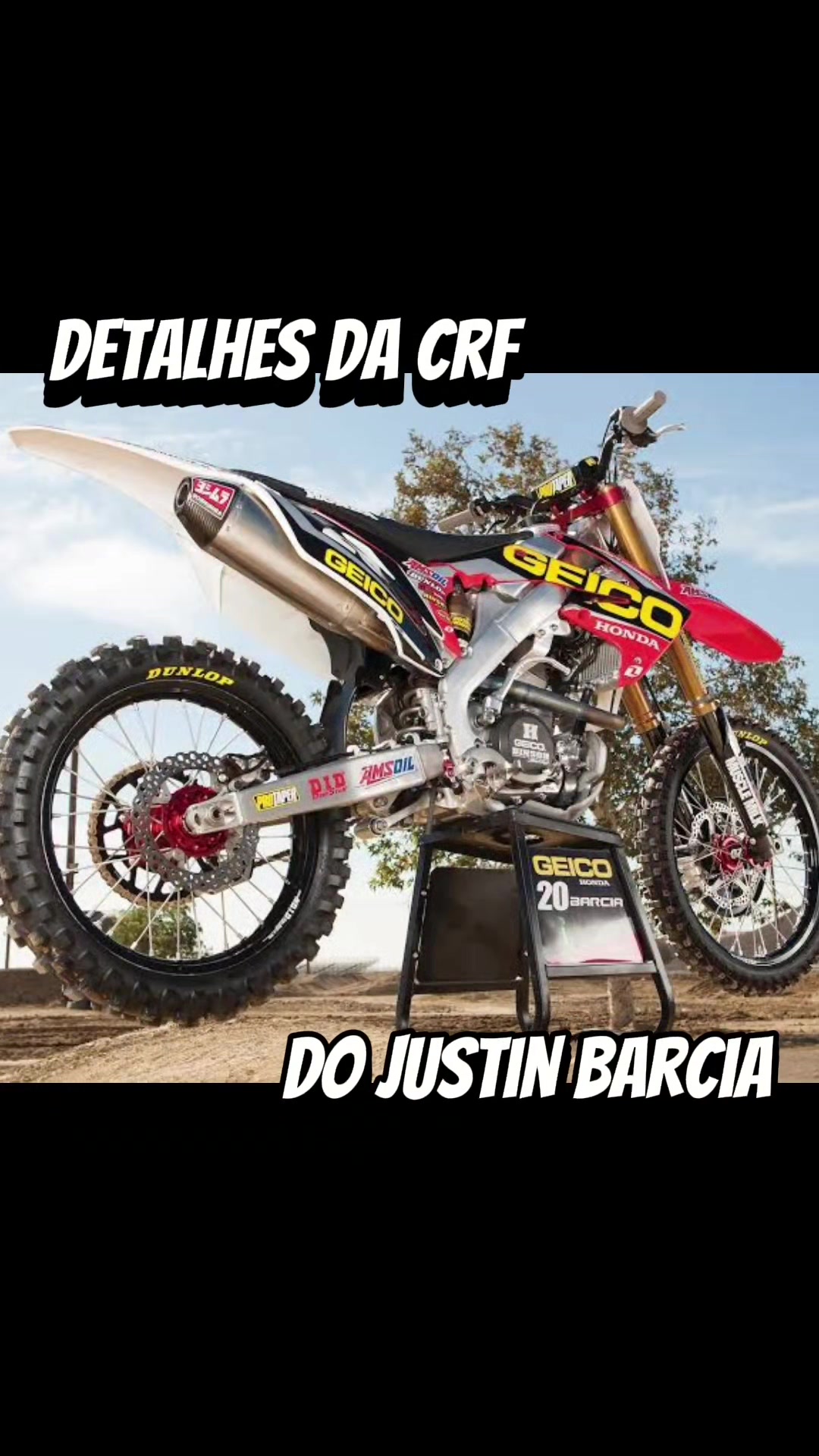 @MXRBR🇧🇷