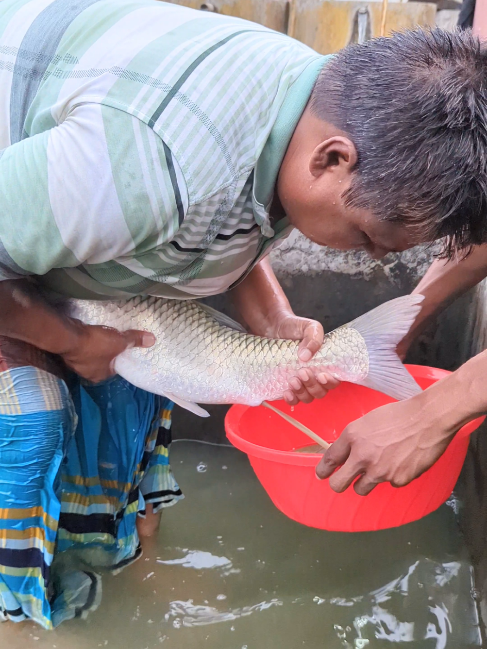 @Fish Lovers Bangladesh