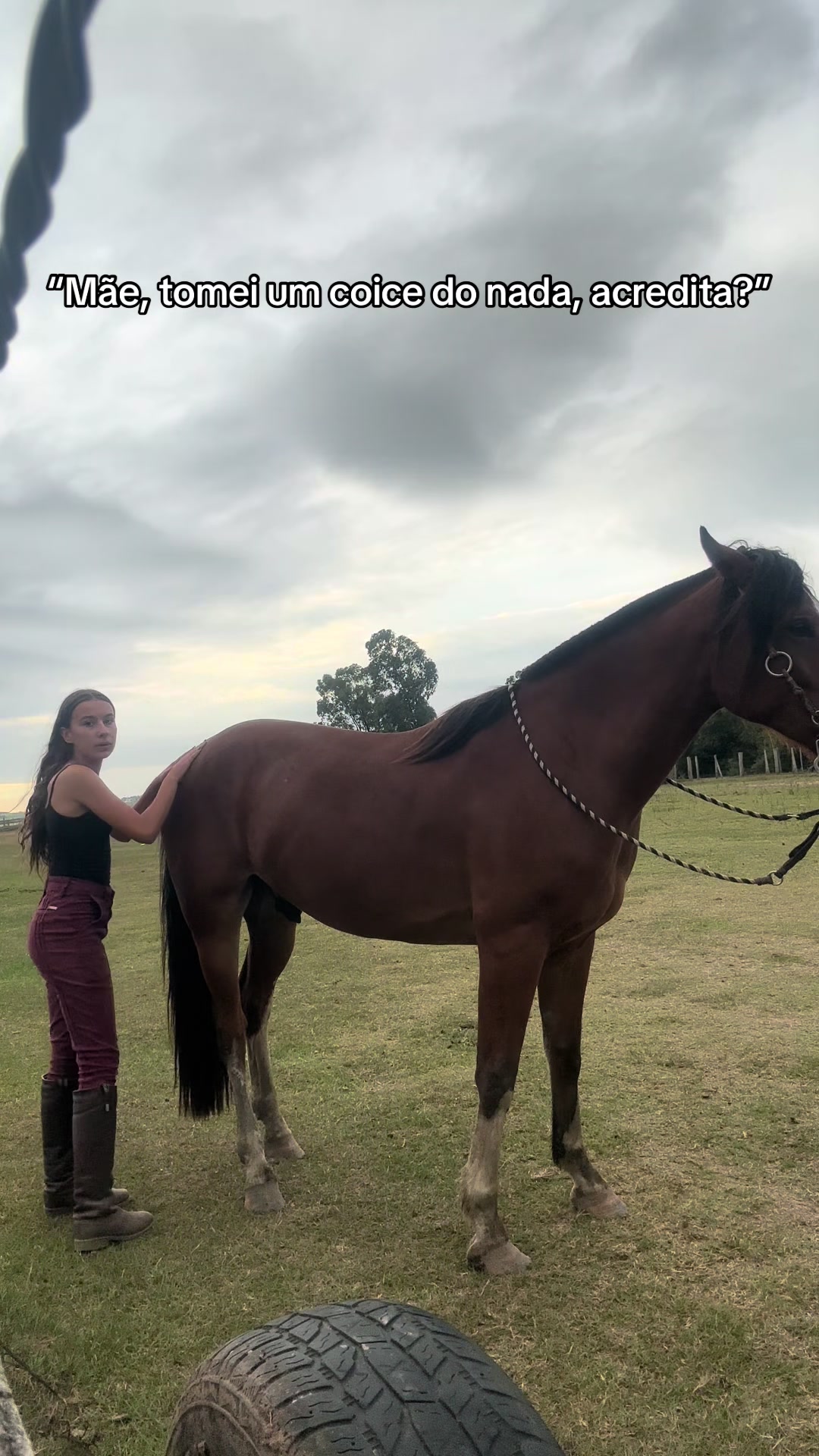 @Colorado da Baldez 🤎🐴