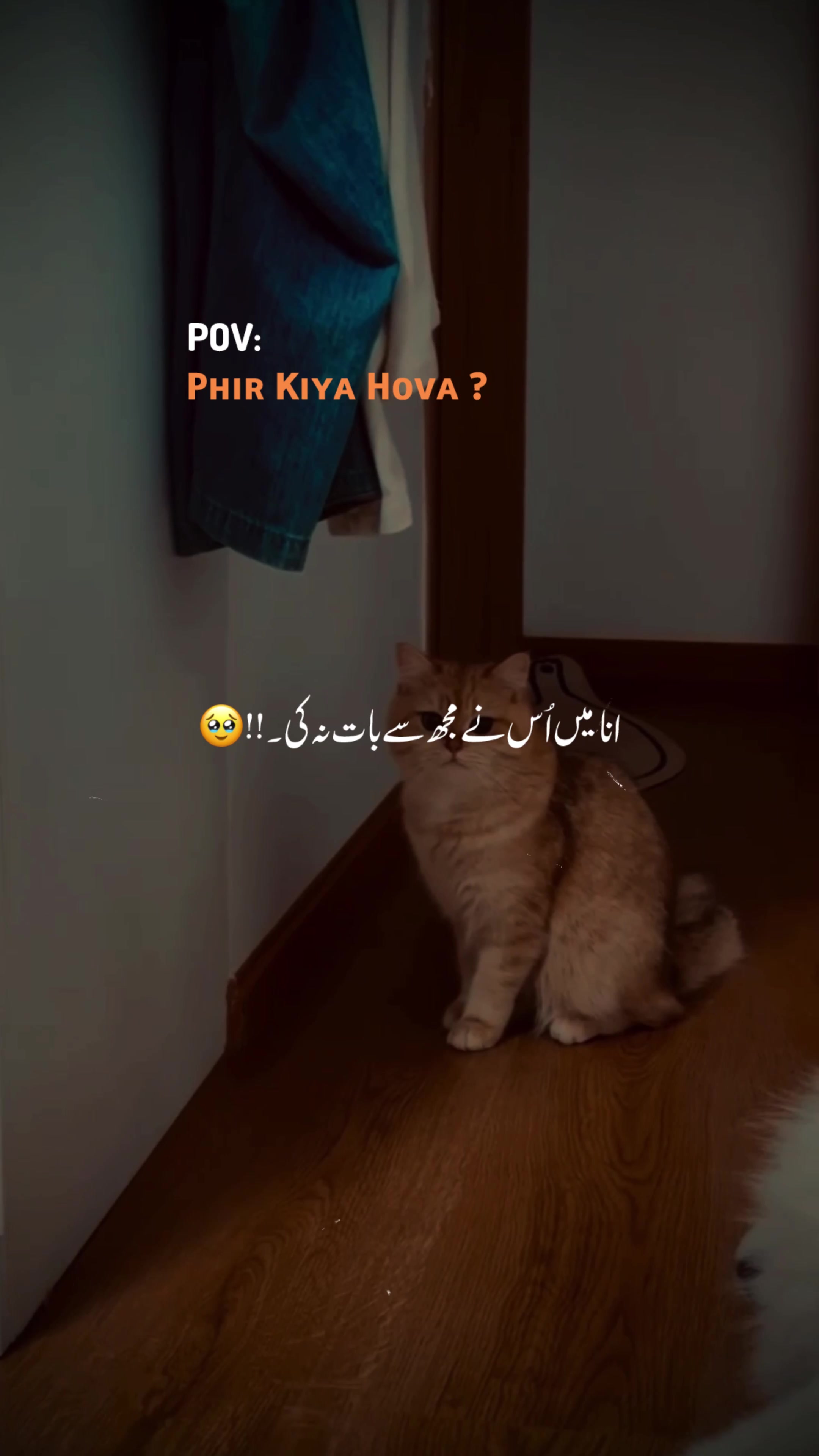 @♡︎𝗔𝗦𝗟𝗔𝗠_𝗘𝗗𝗜𝗧𝗫 ⋆⟡♡