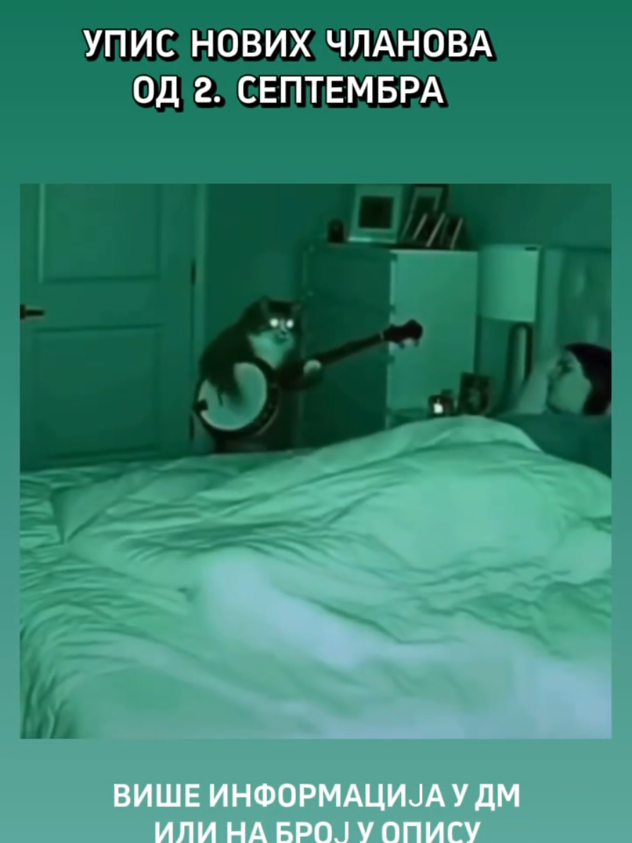 @favilans