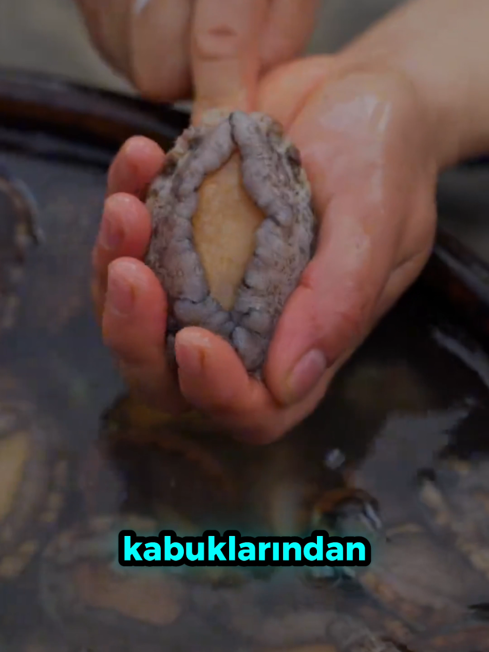 @beynegrafya