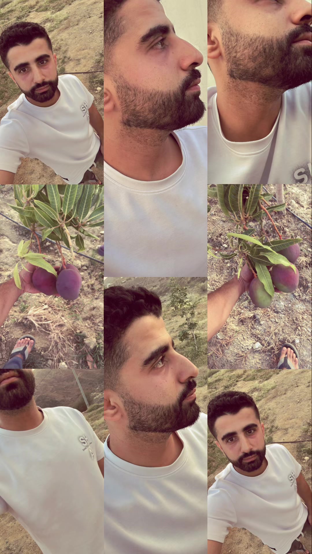 @sameh_elalfy16