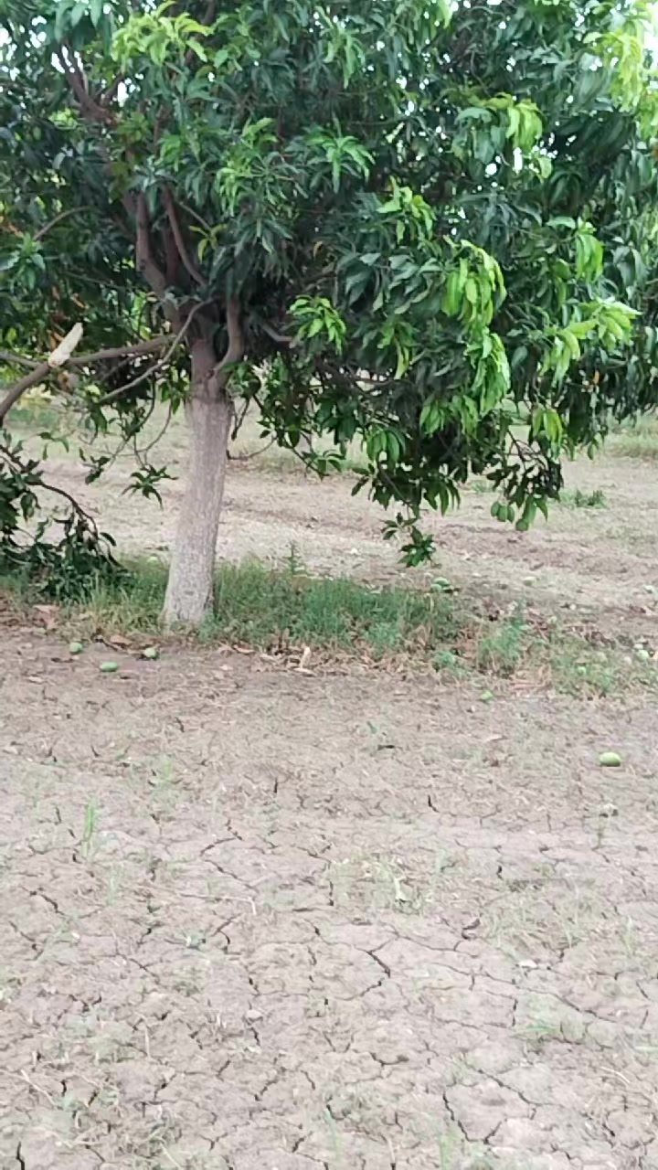 @Malik Bhai8423