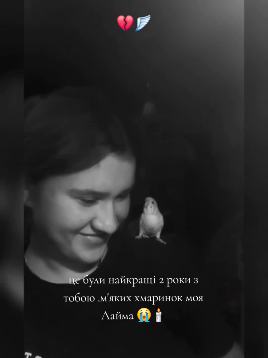 @Ластівка 🕊