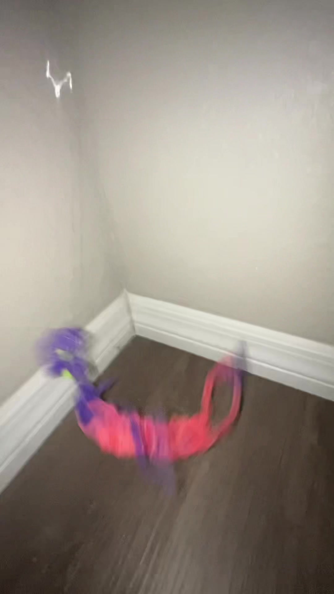 @pompompounder