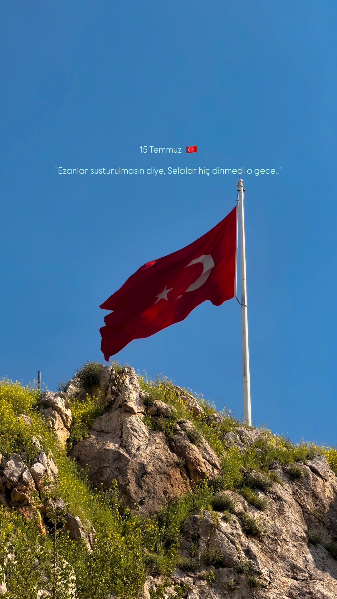 @MehmetDOGAN