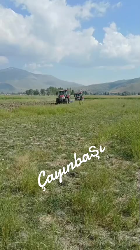 @Alican Dalgı&ccedil;