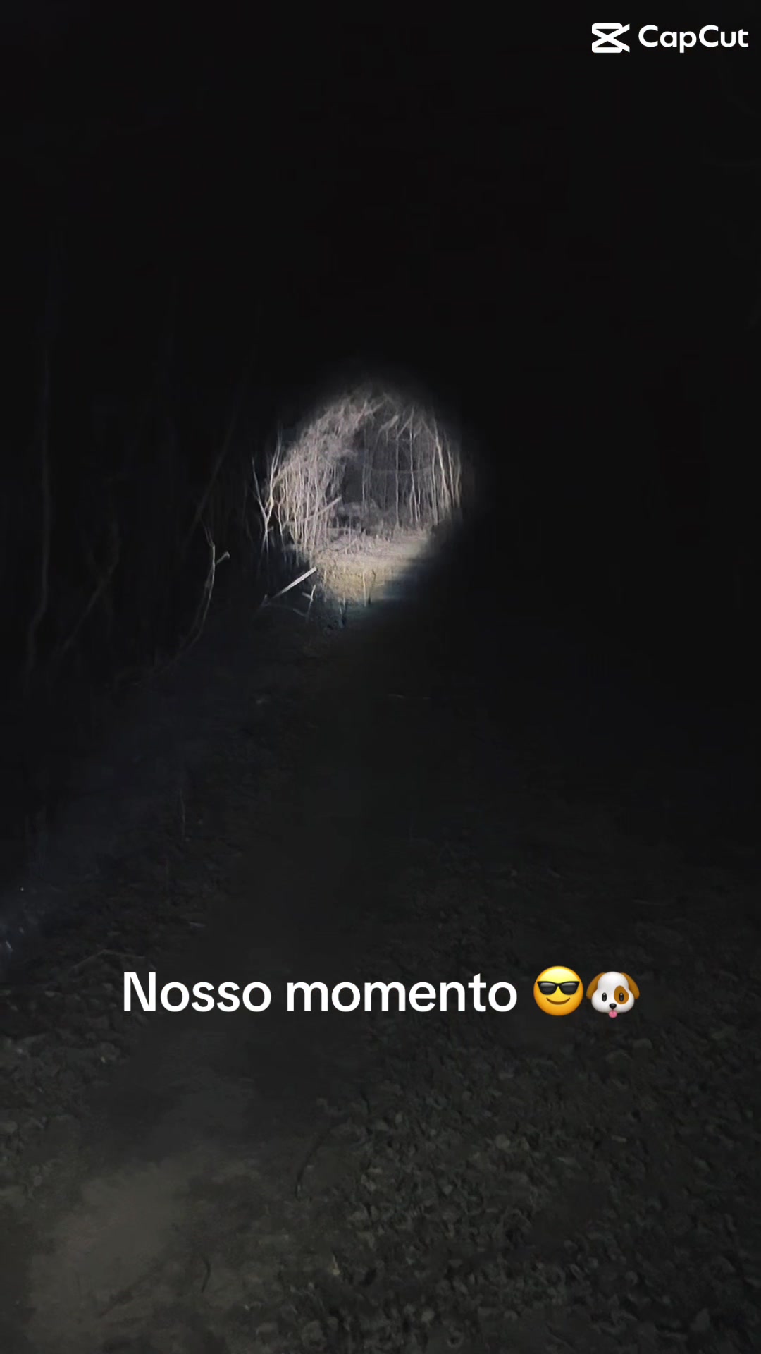 @Ingrid Oliveira