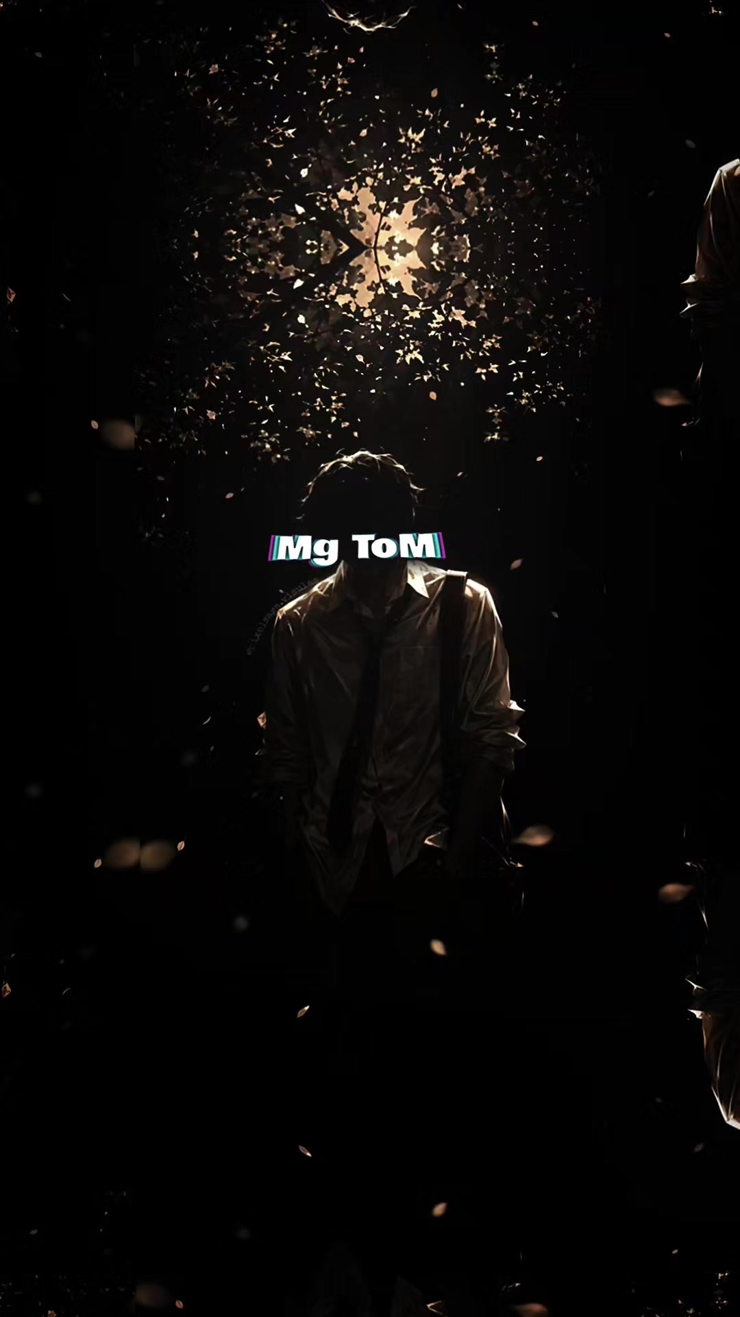 @Mg [ToM]&trade;✓V͇̿I͇̿P͇̿
