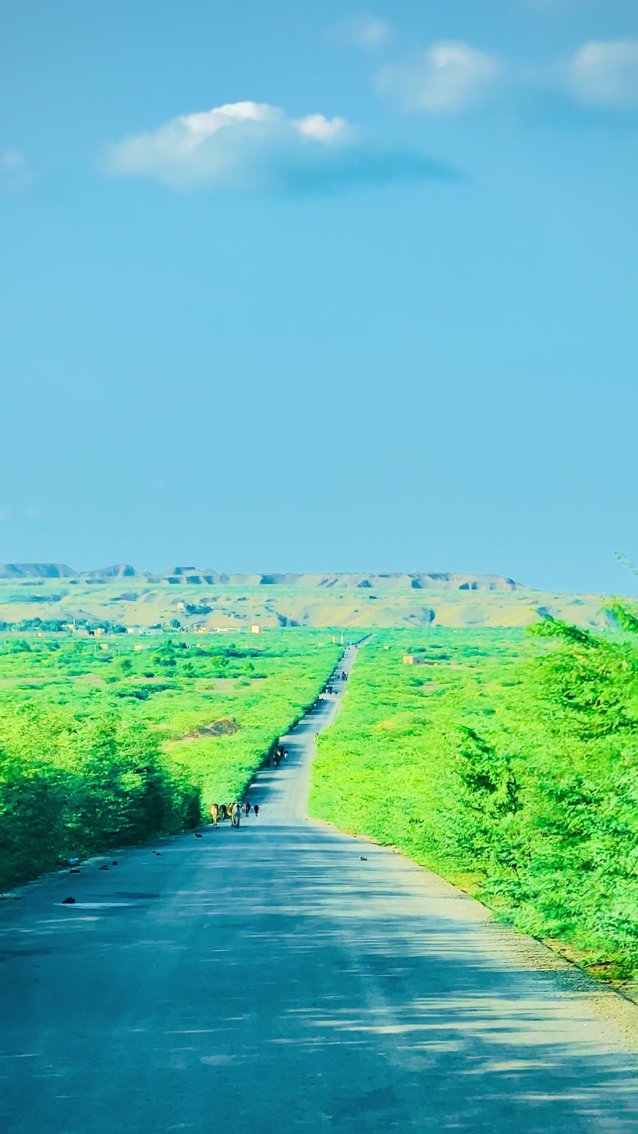 @M.Sohail_بیٹنی🥀