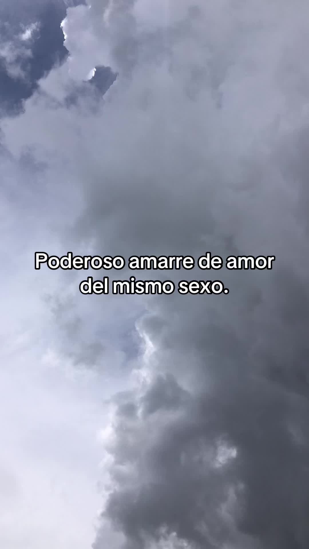 @🔮Maestro_San_Miguel🔮