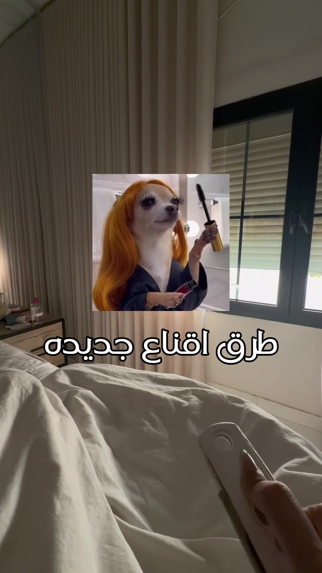 @ديانا/صباح 💛