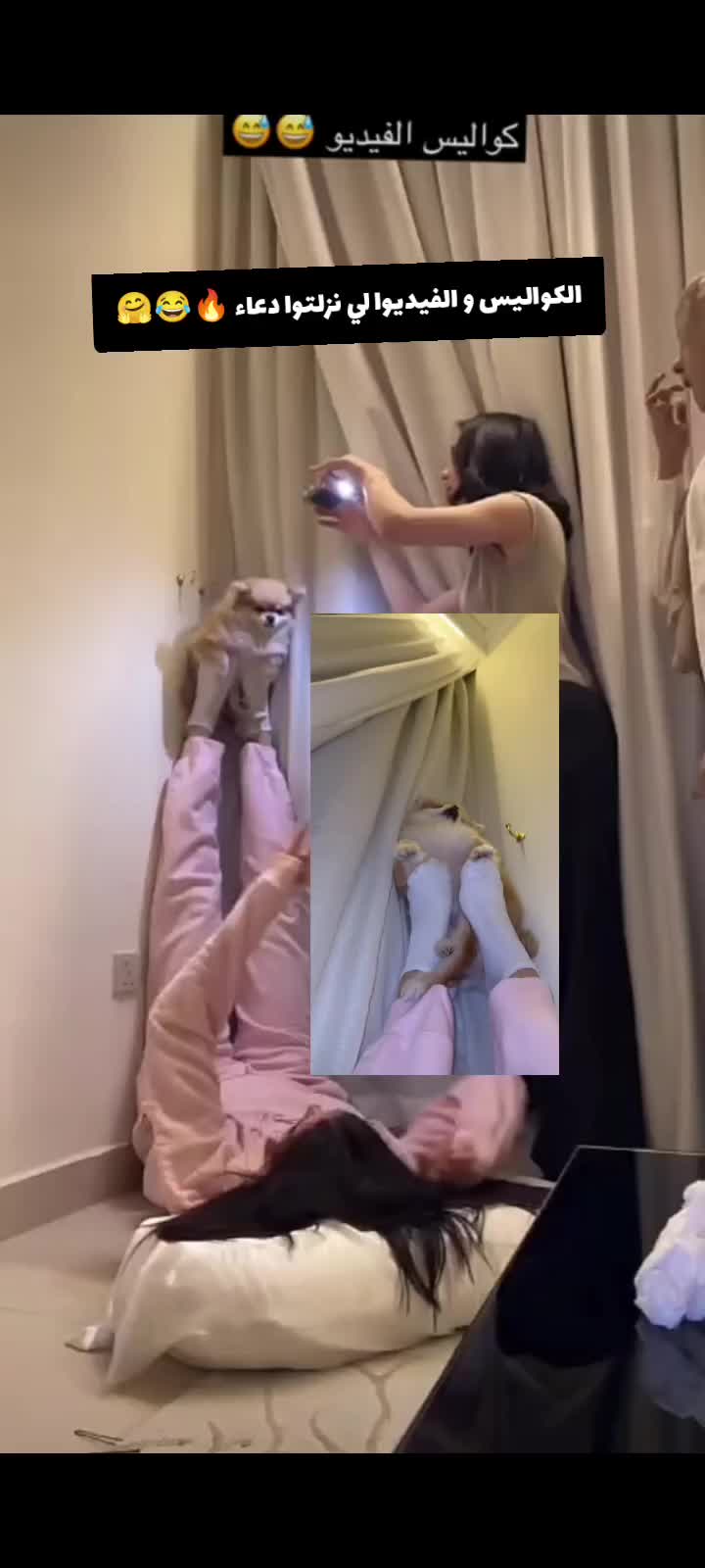 @سند ''