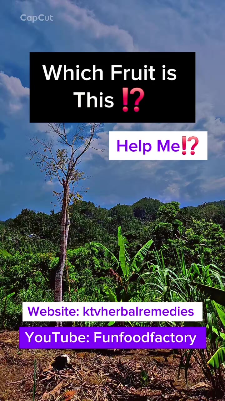 @knowledgeabletrueversion