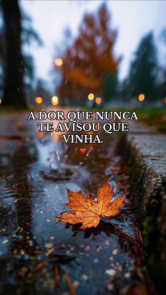 @kleberninja