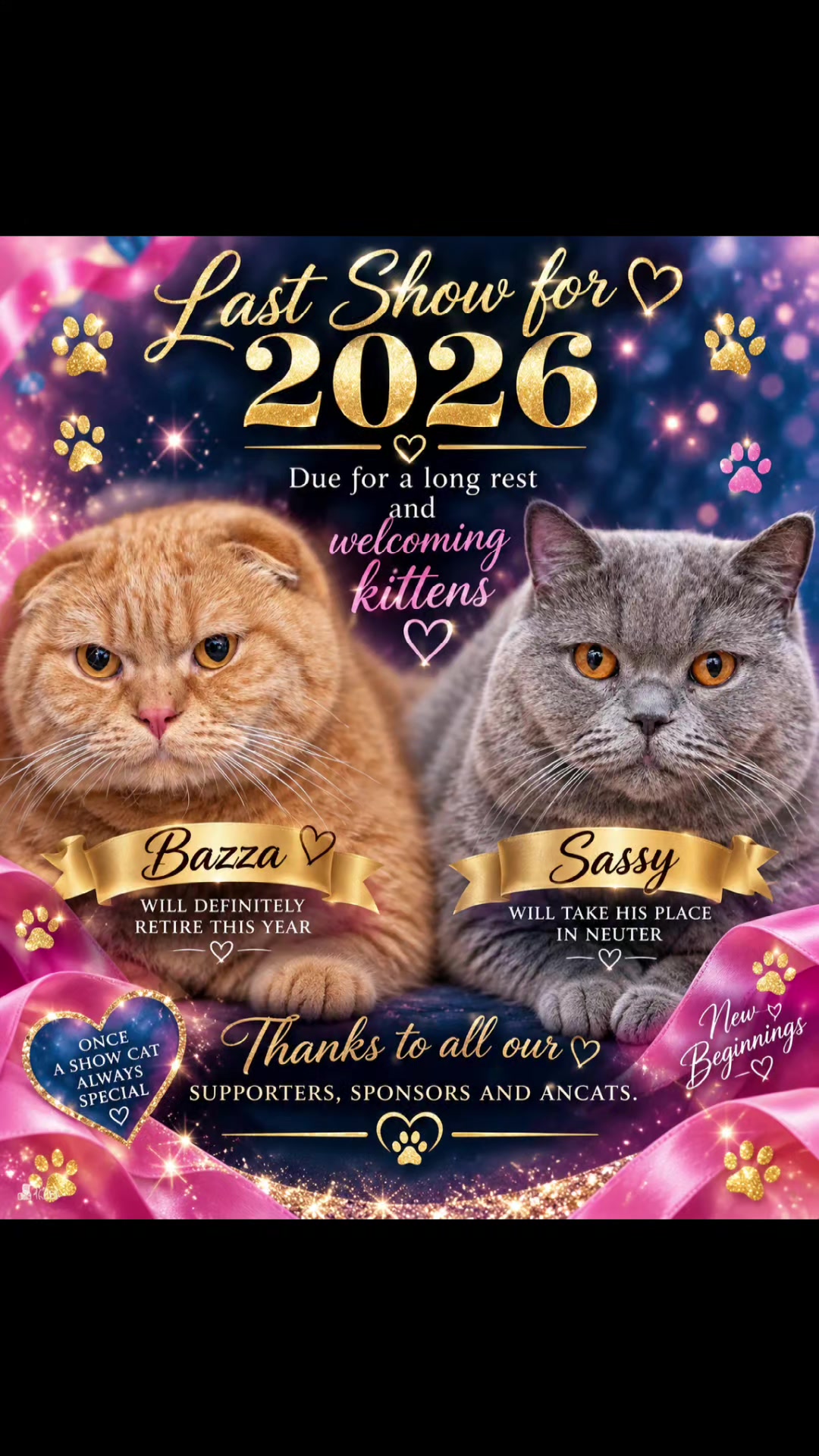 @🐈Barb🐈 Ausbrit Cattery 🇦🇺