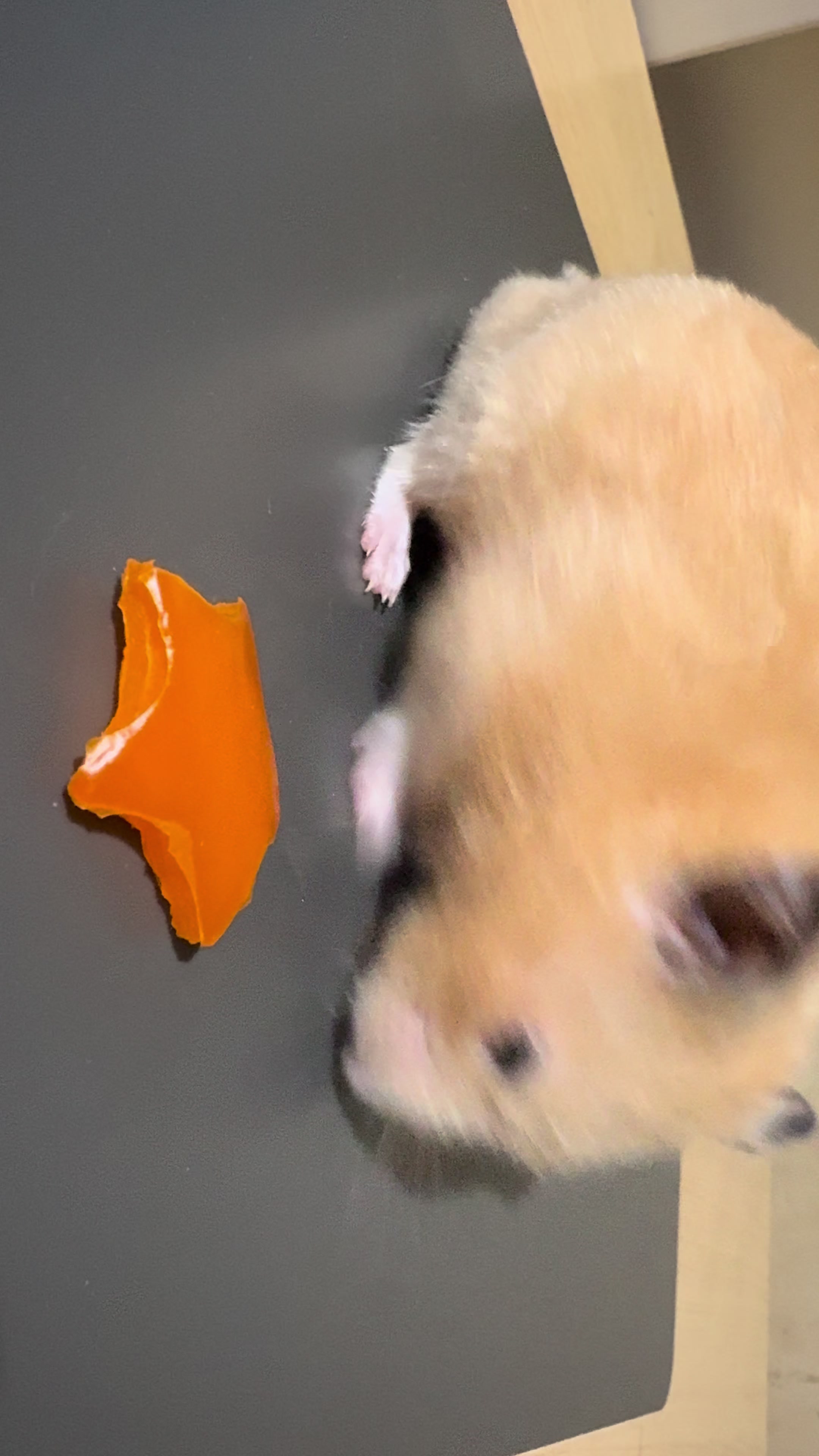 @ใใ P๐๐