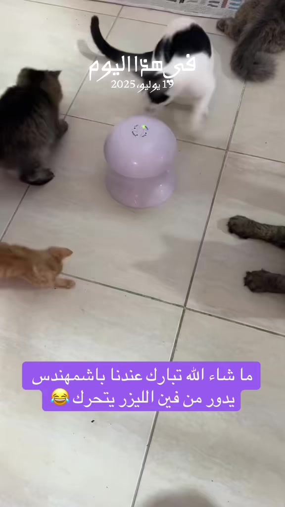 @لولو الحسني🇸🇦🫀