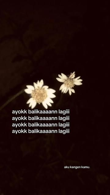 @fikarr