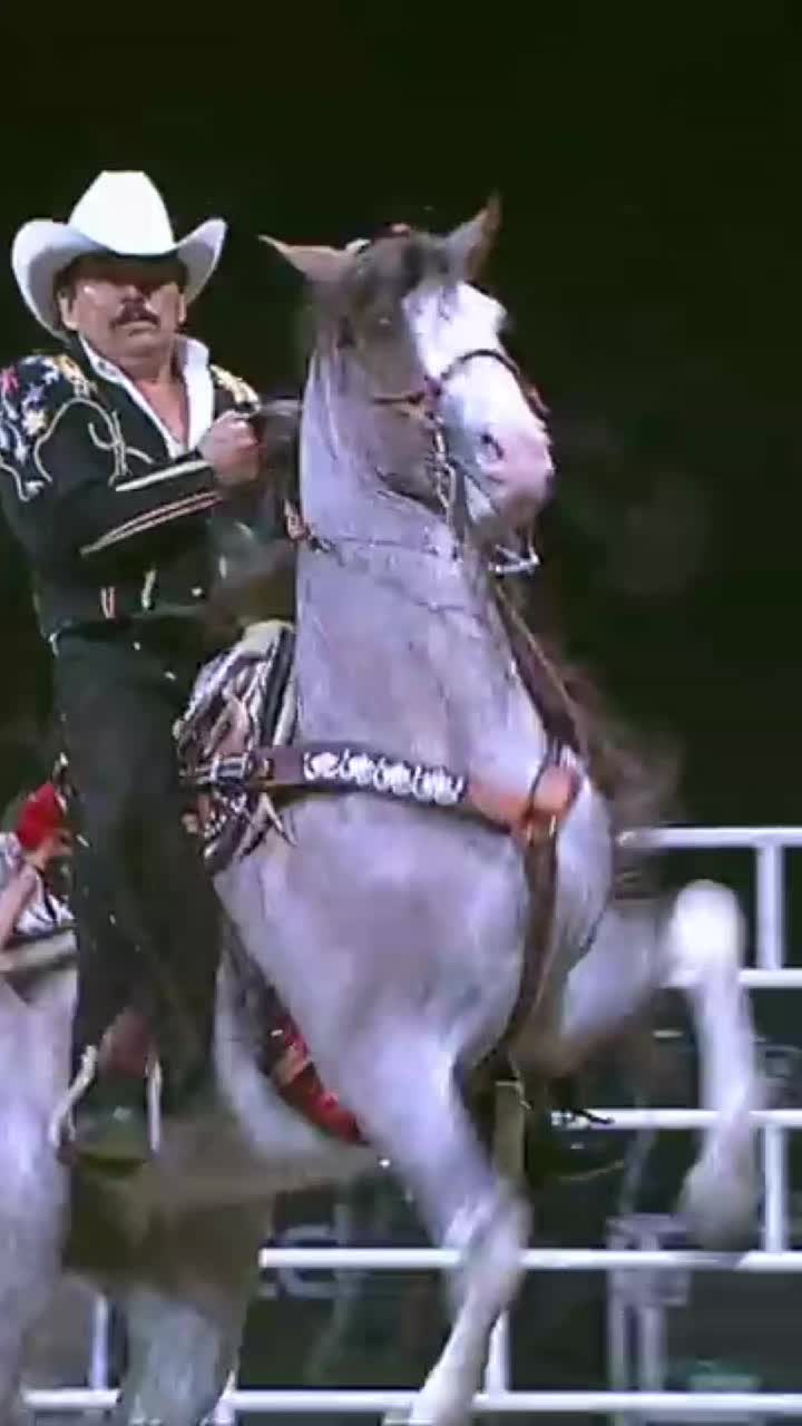 @JOAN SEBASTIAN.FANS