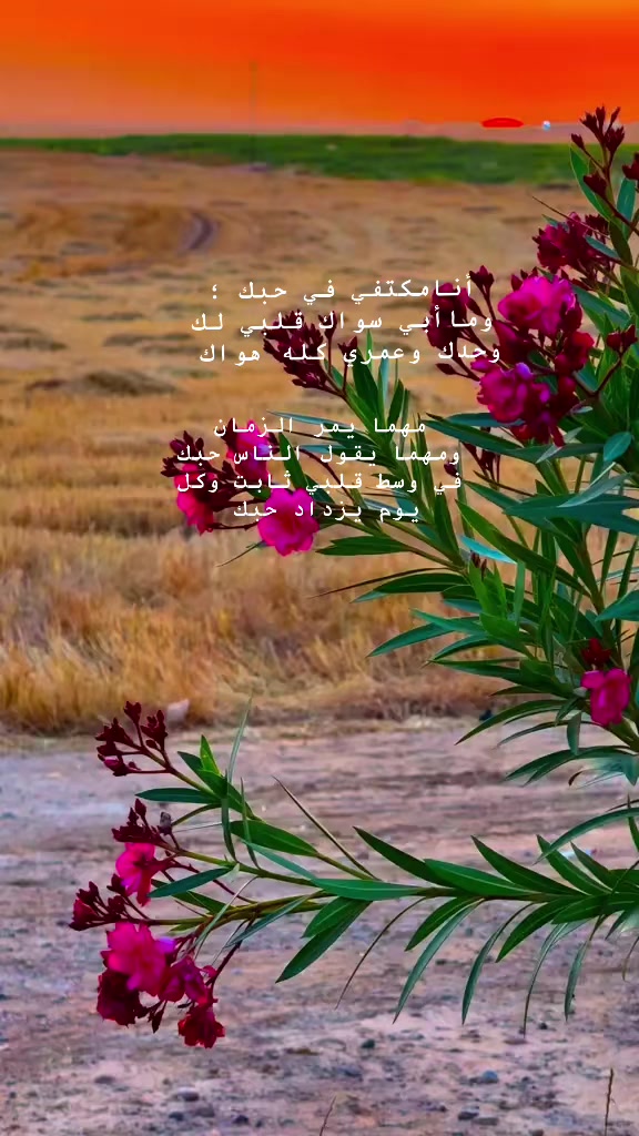 @وهُــــج .