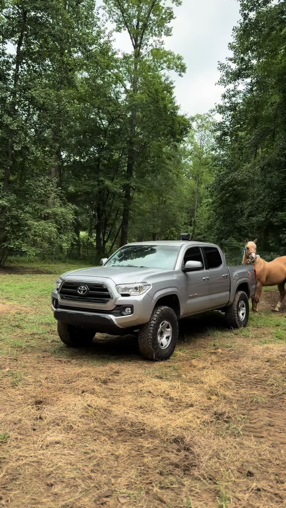 @Kolton_martin10